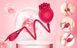 Вібростимулятор ROSE Miss Coyness USB 26-00137 фото 3