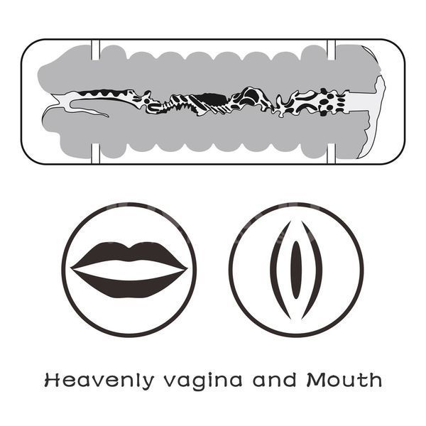 Мастурбатор LOVETOYS Virgin-Skin Blowout Heavenly Vagina and Mouth, телесный 66-LV250015 фото