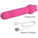 Вібростимулятор Pretty Love Chaley Dual-End Vibrator BW-055024 фото 4