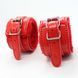 Набір БДСМ іграшок Fetish B-Series BDSM Kit 5.0, червоний 61-00057 фото 9