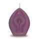 Свічка Eden&rsquo;s Candle - Vanilla Scented Vagina - Eggplant 36-CP.1154 фото 1