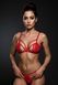 Комплект Passion ANUVERA SET fire brick L SX2898 фото 10