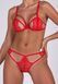 Комплект Passion ANUVERA SET fire brick L SX2898 фото 3