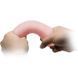 Фалоімітатор BAILE Love Companion Dildo BW-007018G фото 2