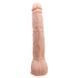 Фалоімітатор Beautiful Dick 10,6 Dildo BW-008038NR фото 2