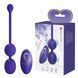 Вагінальні кульки Pretty Love Willie - Youth, Wireless remote control 12 vibration functions Memory BI-014548WL фото 1